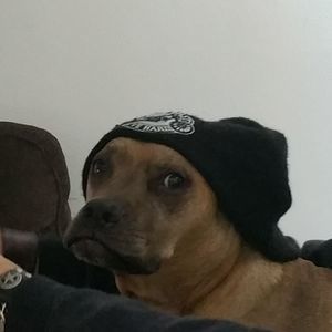 Meet your Posher, Jeanine